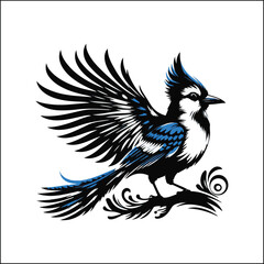 bird, crow, black, animal, wildlife, nature, raven, magpie, beak, white, wild, birds, feather, branch, isolated, avian, feathers
blue jay on a branch