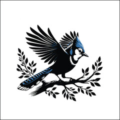 bird, crow, black, animal, wildlife, nature, raven, magpie, beak, white, wild, birds, feather, branch, isolated, avian, feathers
blue jay on a branch