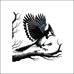 bird, crow, black, animal, wildlife, nature, raven, magpie, beak, white, wild, birds, feather, branch, isolated, avian, feathers
blue jay on a branch