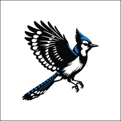 bird, crow, black, animal, wildlife, nature, raven, magpie, beak, white, wild, birds, feather, branch, isolated, avian, feathers
blue jay on a branch