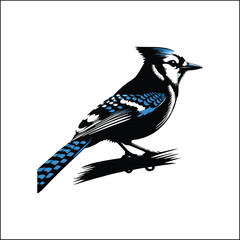 blue bird on a white background