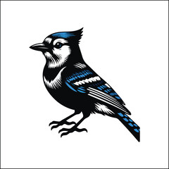 blue bird on a white background