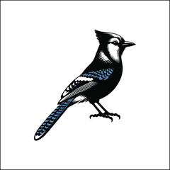 blue bird on a white background