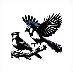 blue bird on a white background