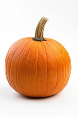 A single orange pumpkin sitting on a plain white background