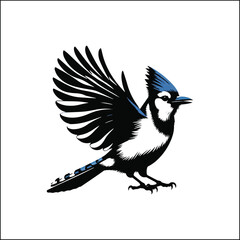 blue bird on a white background