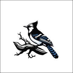 blue bird on a white background