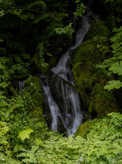 Small Unnamed Cascade Along Westside Road In Mount Rainier