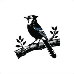 blue bird on a white background