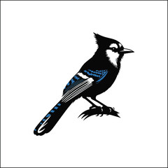 blue jay on a branch