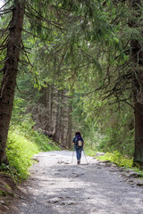 Obraz premium a person walking through the forest