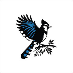 blue jay on a branch