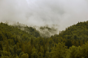 
fog on the mountain before the rain