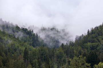 
fog on the mountain before the rain