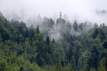 
fog on the mountain before the rain