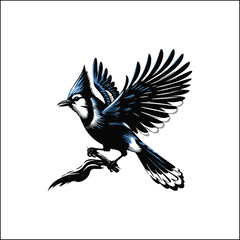 blue jay on a branch