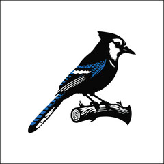 blue jay on a branch
