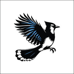 blue jay on a branch