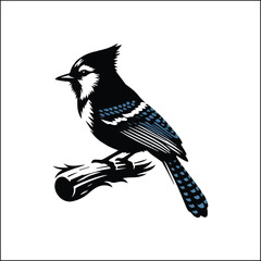 blue jay on a branch