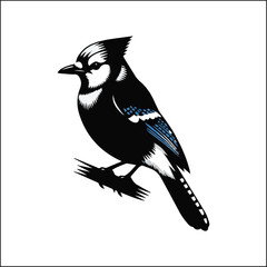 blue jay on a branch