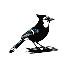 blue jay on a branch