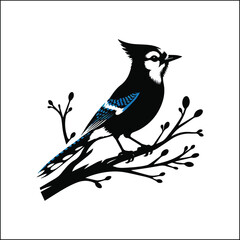 blue jay on a branch