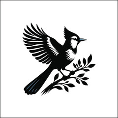 blue jay on a branch