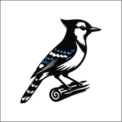 blue jay on a branch