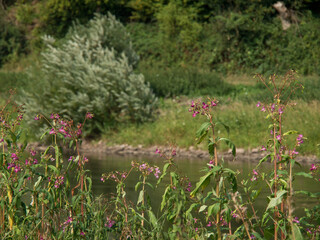 An der Weser bei Bad Karlshafen