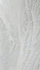 Obraz premium A tropical pattern with large banana leaves