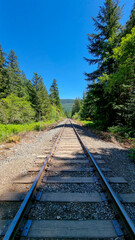 Canadian summer with forest backdrop showing railway