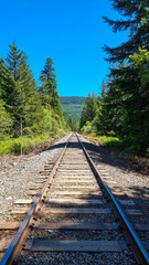 Obraz premium Canadian summer with forest backdrop showing railway