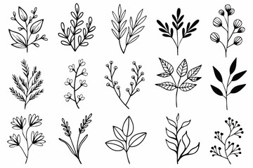 Fototapeta premium A set of wildflowers Floral branches and minimalist leaves for logos or tattoos. Hand-drawn line wedding herb, elegant wildflowers. Minimal line art drawing for print, cover, or wallpaper