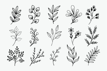 Fototapeta premium A set of wildflowers Floral branches and minimalist leaves for logos or tattoos. Hand-drawn line wedding herb, elegant wildflowers. Minimal line art drawing for print, cover, or wallpaper