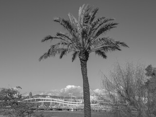 Barcelona in Spanien © Stephan Sühling