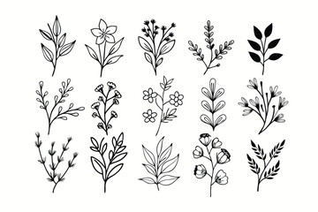 A set of wildflowers Floral branches and minimalist leaves for logos or tattoos. Hand-drawn line wedding herb, elegant wildflowers. Minimal line art drawing for print, cover, or wallpaper