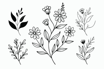 A set of wildflowers Floral branches and minimalist leaves for logos or tattoos. Hand-drawn line wedding herb, elegant wildflowers. Minimal line art drawing for print, cover, or wallpaper