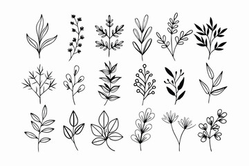 A set of wildflowers Floral branches and minimalist leaves for logos or tattoos. Hand-drawn line wedding herb, elegant wildflowers. Minimal line art drawing for print, cover, or wallpaper