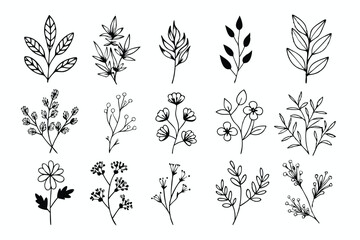 A set of wildflowers Floral branches and minimalist leaves for logos or tattoos. Hand-drawn line wedding herb, elegant wildflowers. Minimal line art drawing for print, cover, or wallpaper