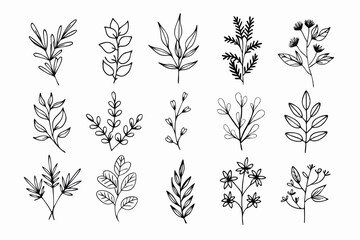A set of wildflowers Floral branches and minimalist leaves for logos or tattoos. Hand-drawn line wedding herb, elegant wildflowers. Minimal line art drawing for print, cover, or wallpaper