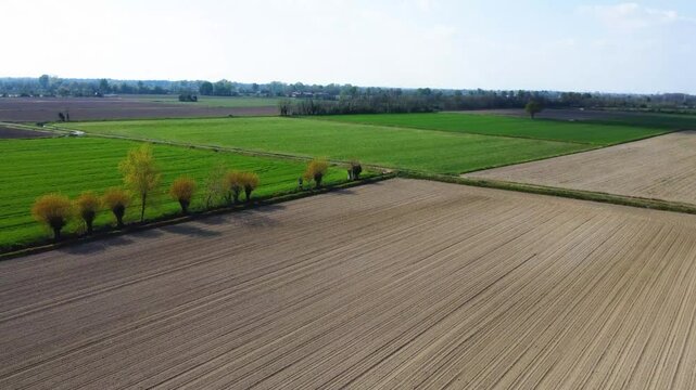 drone shot flying over green fields in the Milanese hinterland