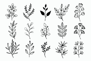 A set of wildflowers Floral branches and minimalist leaves for logos or tattoos. Hand-drawn line wedding herb, elegant wildflowers. Minimal line art drawing for print, cover, or wallpaper