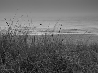 Am Strand von Egmond in Holland