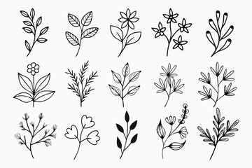 A set of wildflowers Floral branches and minimalist leaves for logos or tattoos. Hand-drawn line wedding herb, elegant wildflowers. Minimal line art drawing for print, cover, or wallpaper