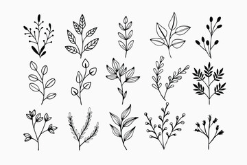A set of wildflowers Floral branches and minimalist leaves for logos or tattoos. Hand-drawn line wedding herb, elegant wildflowers. Minimal line art drawing for print, cover, or wallpaper