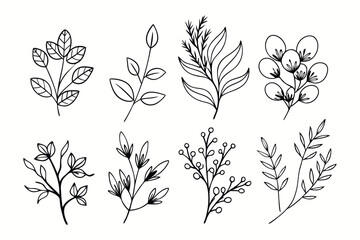 A set of wildflowers Floral branches and minimalist leaves for logos or tattoos. Hand-drawn line wedding herb, elegant wildflowers. Minimal line art drawing for print, cover, or wallpaper