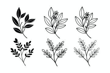 A set of wildflowers Floral branches and minimalist leaves for logos or tattoos. Hand-drawn line wedding herb, elegant wildflowers. Minimal line art drawing for print, cover, or wallpaper