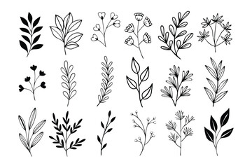A set of wildflowers Floral branches and minimalist leaves for logos or tattoos. Hand-drawn line wedding herb, elegant wildflowers. Minimal line art drawing for print, cover, or wallpaper