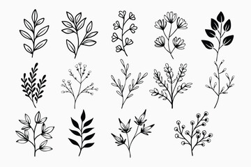 A set of wildflowers Floral branches and minimalist leaves for logos or tattoos. Hand-drawn line wedding herb, elegant wildflowers. Minimal line art drawing for print, cover, or wallpaper