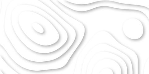 Abstract vector wave carve diamond topography line circle creative 3d papercut white background. Luxury white wave and empty space for texture art design.